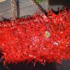 Sac bouteille plastique 2