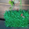 Sac bouteille plastique 3